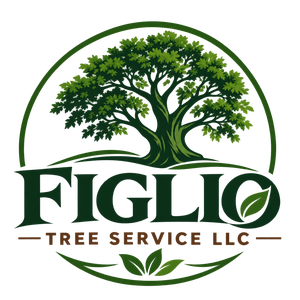 Figlio Tree Service LLC logo